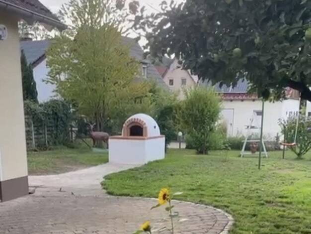 Einfamilienhaus zum Kauf provisionsfrei 369.000 € 7 Zimmer 203,4 m² 742 m² Grundstück Rotenburg Rotenburg an der Fulda 36199