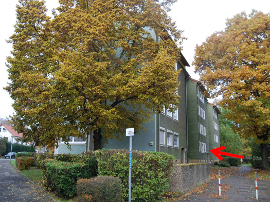 Wohnung zum Kauf provisionsfrei 180.000 € 4 Zimmer 174 m² Geschoss EG/4 Lebenstedt Salzgitter 38226