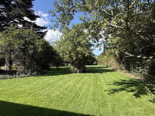 Grundstück zum Kauf 697.000 € 1.238 m² Grundstück Traiskirchen 2512