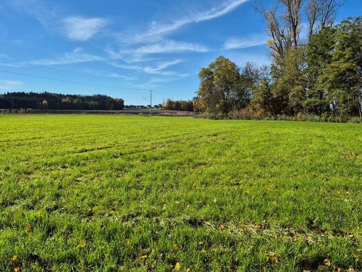 Landwirtschaftliche Fläche zum Kauf 94.000 € 16.424 m² 16.424 m² Grundstück Obermoosmühle Obermoosmühl Markt Indersdorf 85229