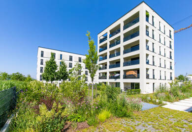 Wohnung zur Miete nur mit Wohnberechtigungsschein 347 € 2 Zimmer 47,8 m² 3. Geschoss frei ab 01.08.2025 Alte Fernstraße 14 Frauenland Würzburg 97074