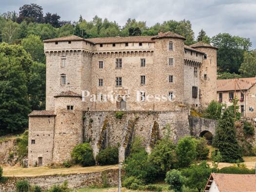 Schloss zum Kauf 980.000 € 20 Zimmer 760 m² 7.300 m² Grundstück Chalmazel-Jeansagnière 42920