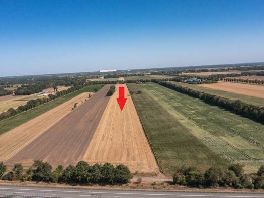 Land-/Forstwirtschaft zum Kauf 43.363 m² Grundstück Brual Rhede (Ems) 26899
