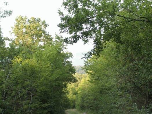 Grundstück zum Kauf 150.000 € 5.000 m² Grundstück Gemeinde Ulcinj 85356