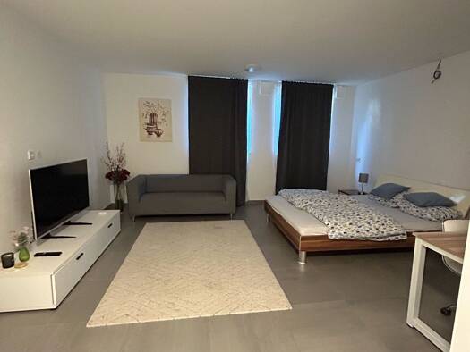 Studio zur Miete 700 € 1 Zimmer 37 m² Geschoss EG/3 frei ab sofort Walldorf 69190