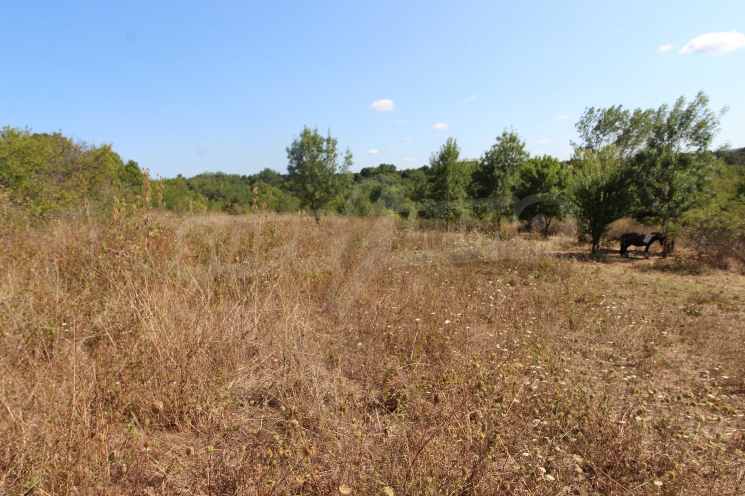 Landwirtschaftliche Fläche zum Kauf 135.000 € Varvara