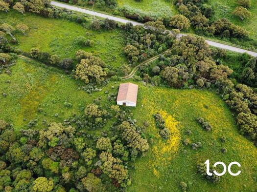 Bauernhaus zum Kauf 110.000 € 1 Zimmer 40.000 m² Grundstück Agghju/Aggius 07020