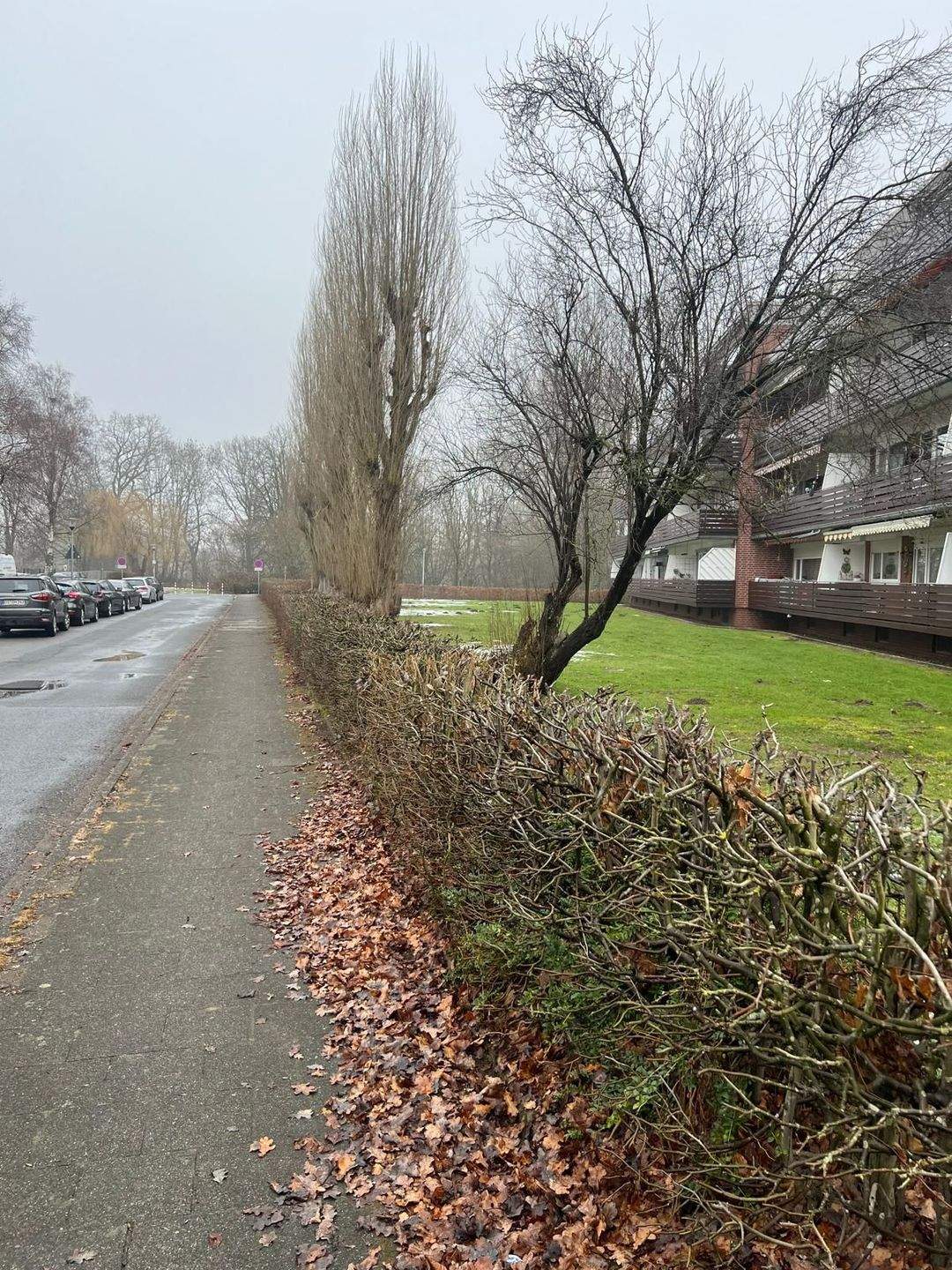 Immobilie in Lotte - Solide Kapitalanlage in Lotte: Gepflegte 3-Zimmer-Wohnung mit Balkon, Staffelmiete - Bild 2