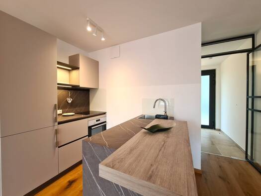 Terrassenwohnung zur Miete 699 € 2 Zimmer 55,2 m² Pitten 2823