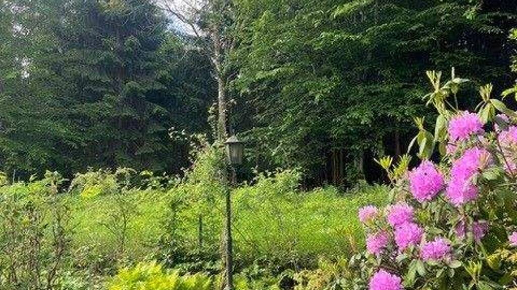 Grundstück zum Kauf 2.300.000 € 826 m² Grundstück frei ab sofort Grünwald 82031