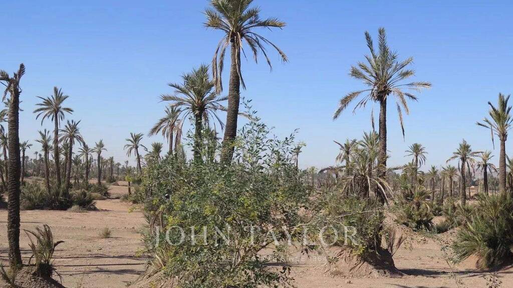 Grundstück zum Kauf provisionsfrei 850.000 € 10.000 m² Grundstück Marrakech 40000