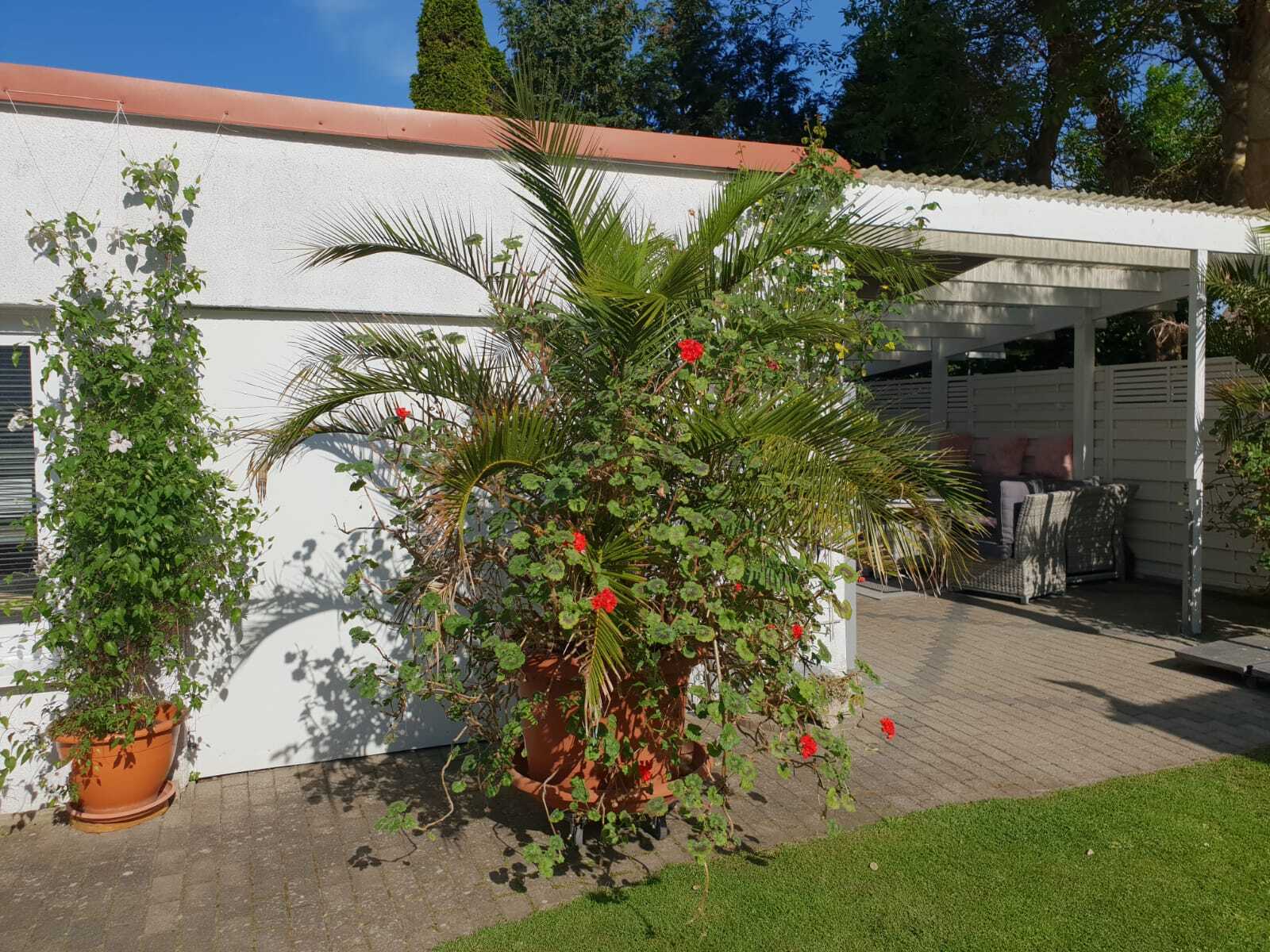 Property thumbnail 20