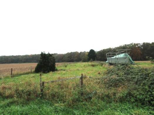 Land-/Forstwirtschaft zum Kauf 20.000 € 2.515 m² Grundstück Viernheim Viernheim 68519