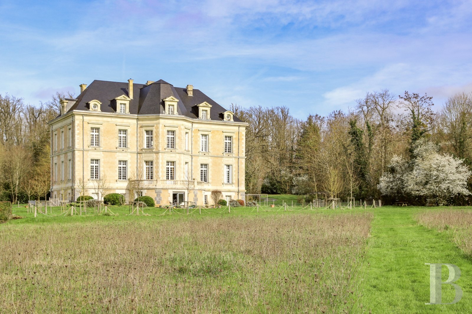 Schloss zum Kauf 1.800.000 € 20 Zimmer 1.100 m²<br/>Wohnfläche 152.977 m²<br/>Grundstück Châteauneuf-sur-Sarthe 49330