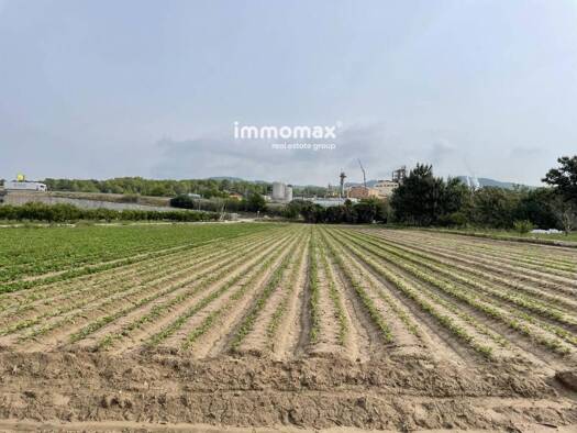 Acker-/Waldstück zum Kauf 33.000 € Tortosa 43500