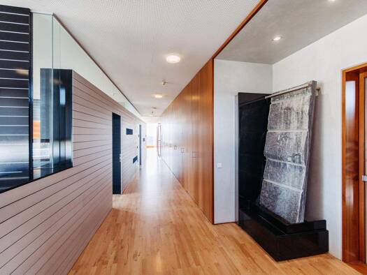 Büro zur Miete provisionsfrei 3 Zimmer 116 m² Bürofläche Allgäusstraße 5 Hörbranz 6912