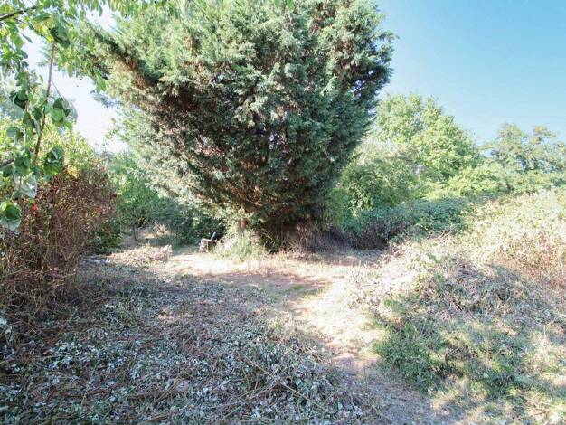 Grundstück zum Kauf 409.000 € 1.630 m² Grundstück Thekla Leipzig 04349