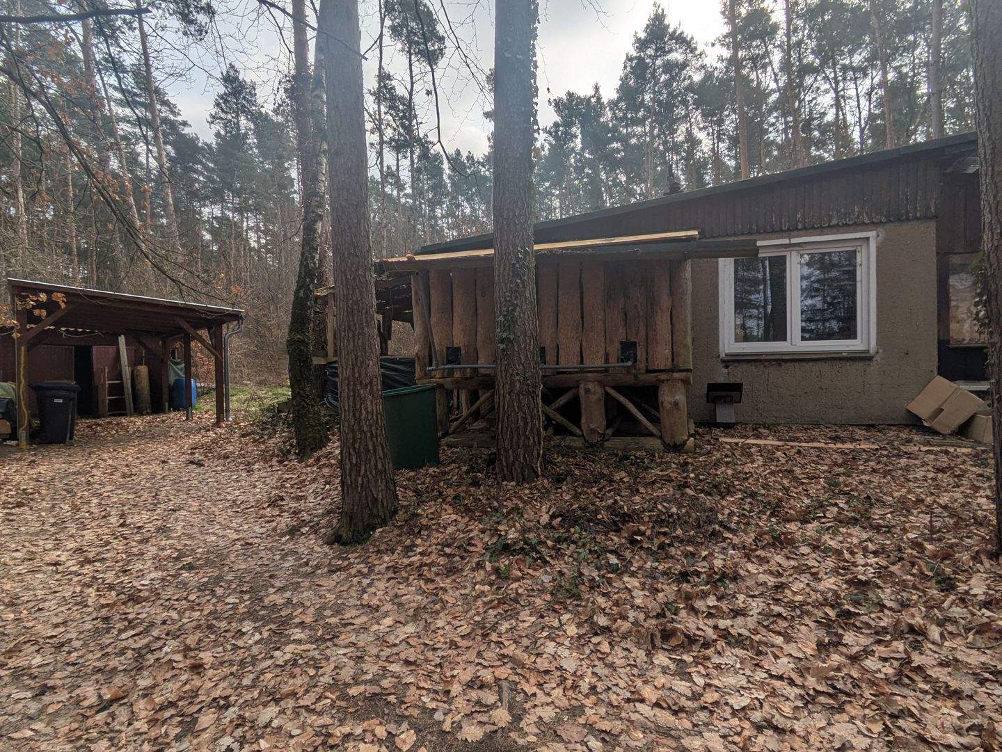 Immobilie in Kemberg - Provisionsfrei! Wochenendgrundstück im Wald mit Bungalow – nahe Friedrichsee - Bild 0