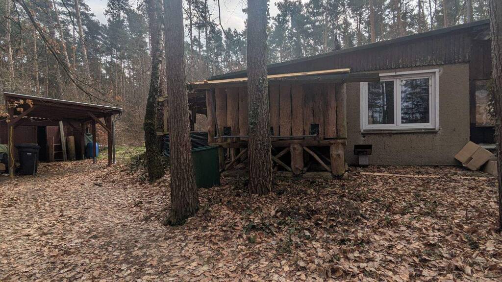 Bungalow zum Kauf provisionsfrei 25.000 € 3 Zimmer 30 m² 847 m² Grundstück frei ab sofort Gniest Kemberg 06901