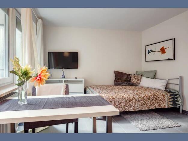 Wohnung zur Miete auf Zeit 1.390 € 1 Zimmer 29 m² frei ab 31.10.2026 Schwabing-Freimann München 80802