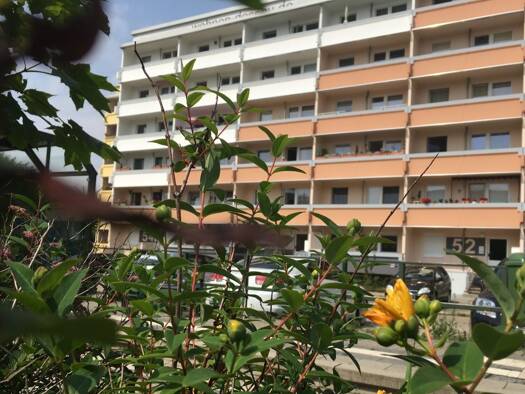 Wohnung zur Miete 320 € 2 Zimmer 54,8 m² 3. Geschoss Ellerbreite 51 Zoberberg Dessau-Roßlau 06847