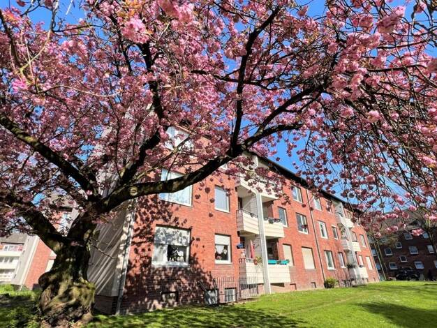 Wohnung zur Miete 659 € 3,5 Zimmer 58 m² 1. Geschoss Ahrstr. 26 Beeckerwerth Meiderich / Beeck 47139