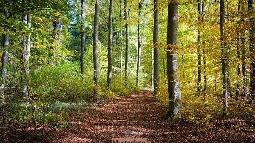 Land-/Forstwirtschaft zum Kauf 215 € 389 m² Grundstück Oberheuslingen Freudenberg 57258