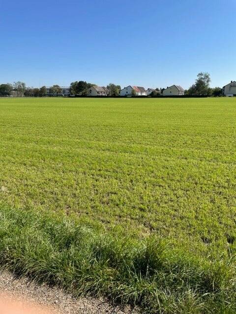 Landwirtschaftliche Fläche zum Kauf - Mehr
