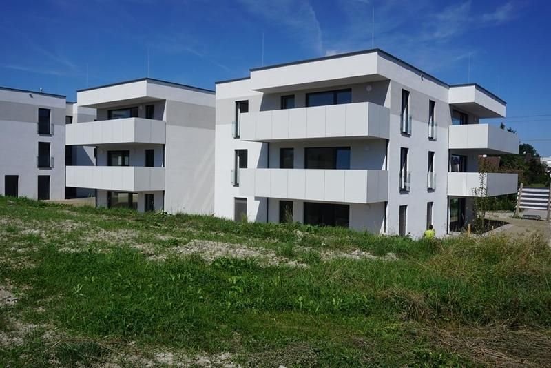 Wohnung zum Kauf 425.000 € 3 Zimmer 81,8 m²<br/>Wohnfläche Wilhelm-Soukup-Weg 7 Ried im Innkreis 4910