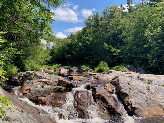 Forstwirtschaft zum Kauf provisionsfrei 6.300.000 $ 22.020.000 m² Eastern Corner Road Campton 