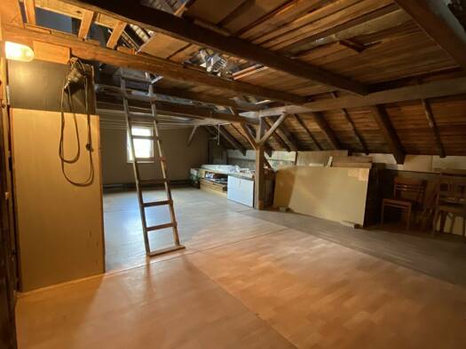 Einfamilienhaus zum Kauf 120.000 € 6 Zimmer 100 m² 1.610 m² Grundstück Niederrossau Rossau 09661