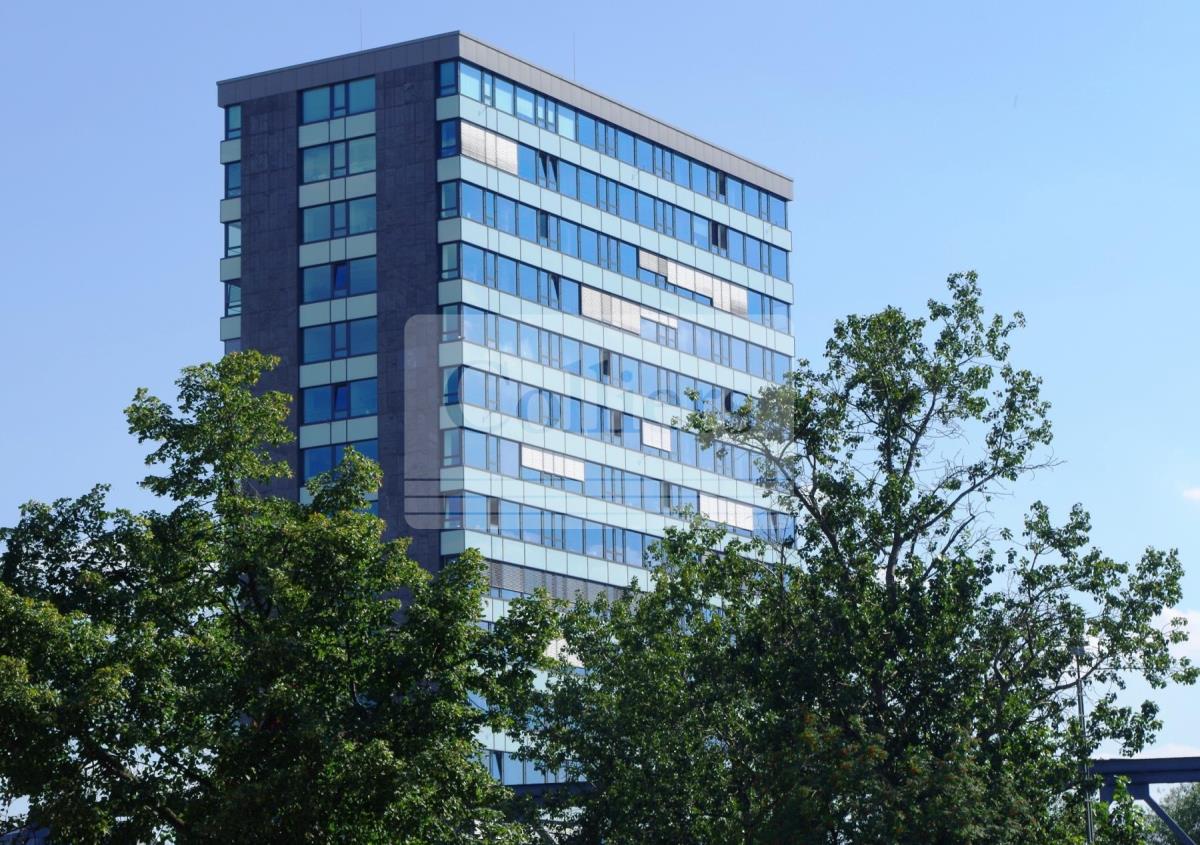 Bürogebäude zur Miete 15 € 224,7 m²<br/>Bürofläche ab 224,7 m²<br/>Teilbarkeit Hammerbrook Hamburg 20097