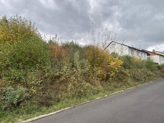 Grundstück zum Kauf 100.000 € 779 m² Grundstück Borken 34582