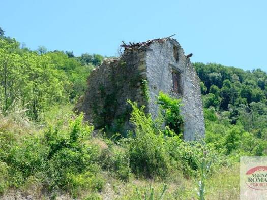 Rustico zum Kauf 45.000 € 180 m² 7.000 m² Grundstück Ponzone 15010