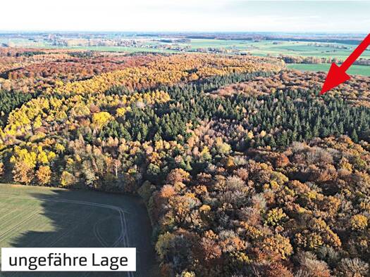 Land-/Forstwirtschaft zum Kauf 12.000 € 20.085 m² Grundstück westlich der Landstraße L21 Negast Steinhagen 18442