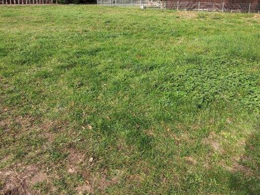 Grundstück zum Kauf 128.000 € 780 m² Grundstück Borg 18311