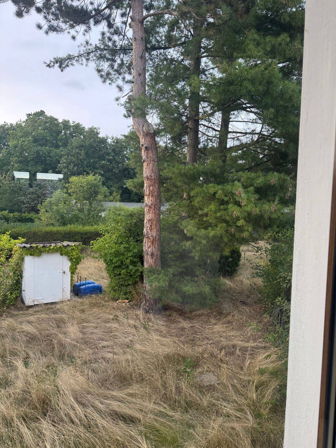 Immobilie in Weißenfels - Haus in Bestlage mit Baumbestand - Bild 2