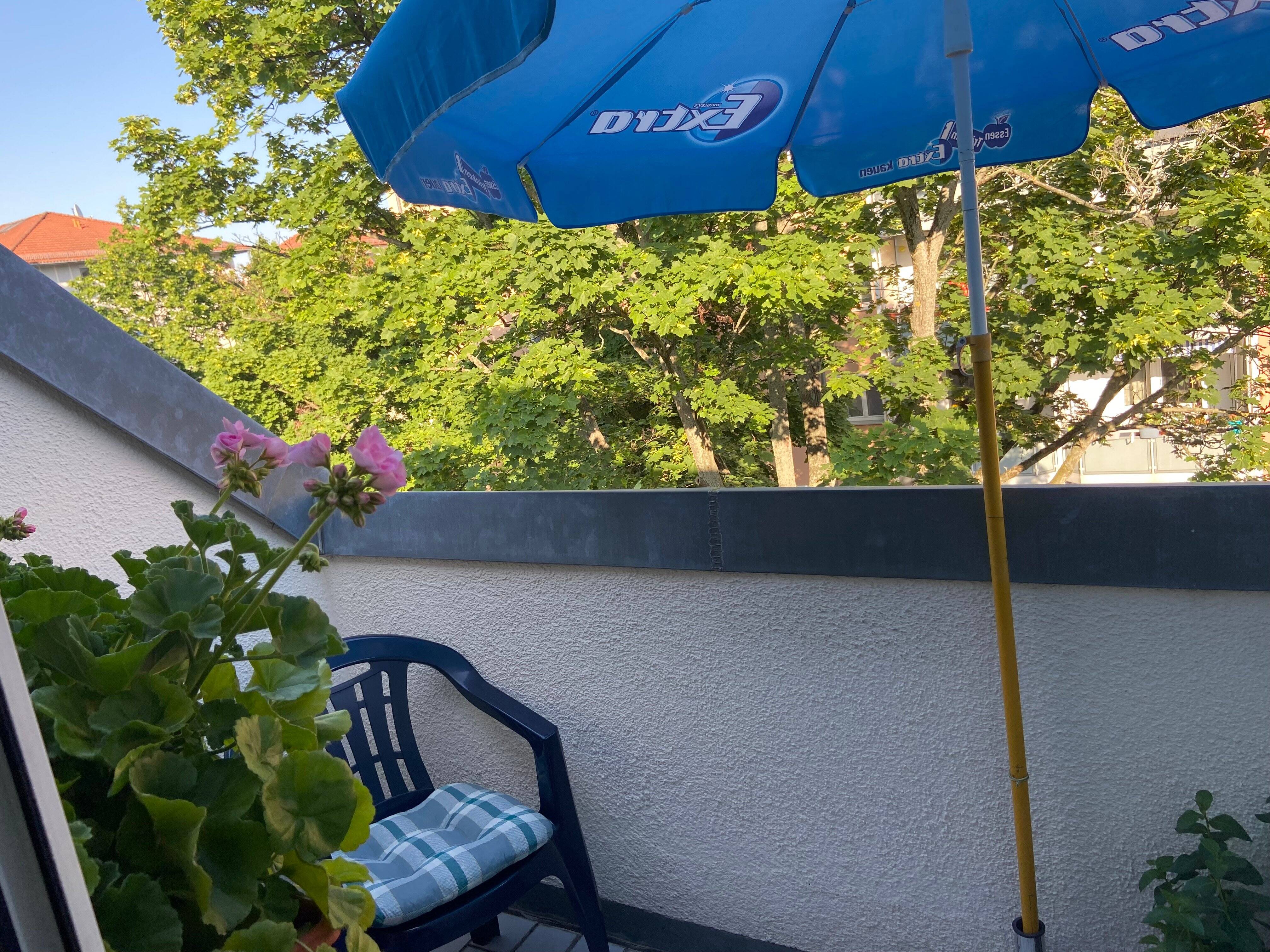 Property thumbnail 7