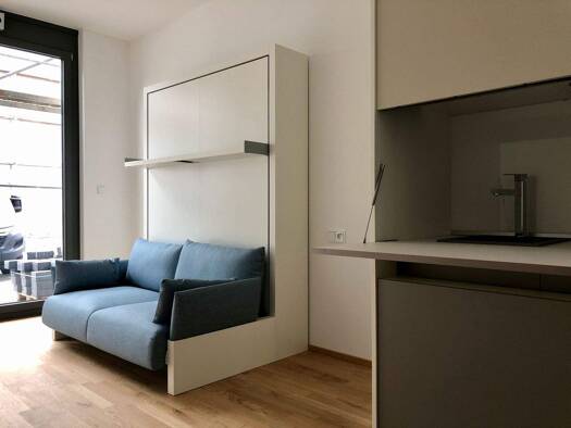 Wohnung zur Miete 750 € 1 Zimmer 23,3 m² EG frei ab sofort Schönbeinstraße 45 West Ludwigsburg 71636