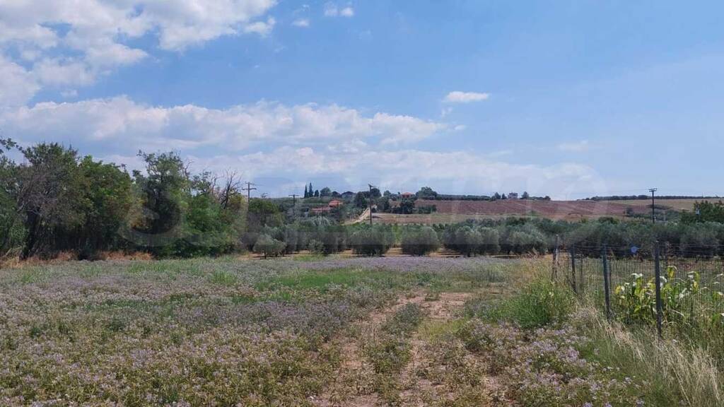 Grundstück zum Kauf 370.000 € Nea Iraklia