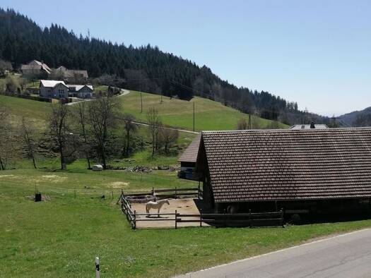 Grundstück zum Kauf provisionsfrei 451.770 € 1.369 m² Grundstück Kanderstraße 4 Marzell Malsburg-Marzell 79429