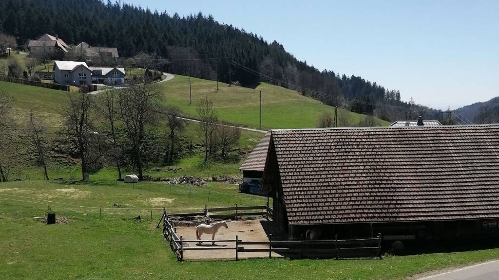 Grundstück zum Kauf provisionsfrei 451.770 € 1.369 m² Grundstück Kanderstraße 4 Marzell Malsburg-Marzell 79429