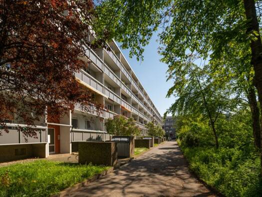 Wohnung zur Miete 488 € 3 Zimmer 64,9 m² 2. Geschoss frei ab 01.12.2026 Feigenweg 10 Nördliche Neustadt West 06122