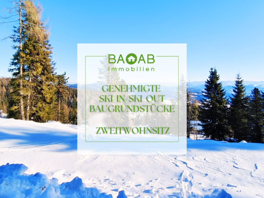 Grundstück zum Kauf provisionsfrei 500 € 2.700 m² Grundstück Hochrindl 9571