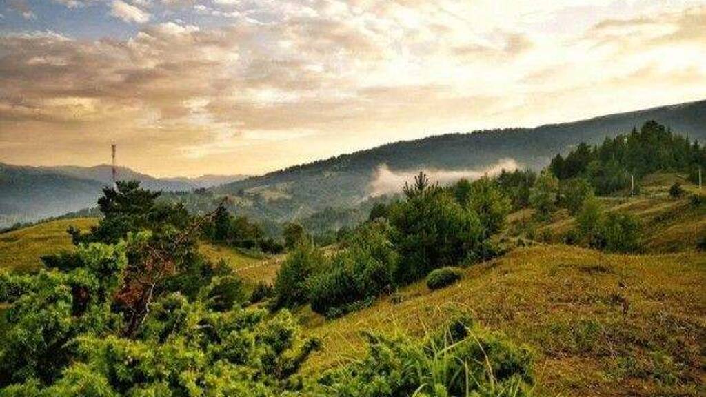 Grundstück zum Kauf 364.000 € 1.400.000 m² Grundstück Pescari 317153