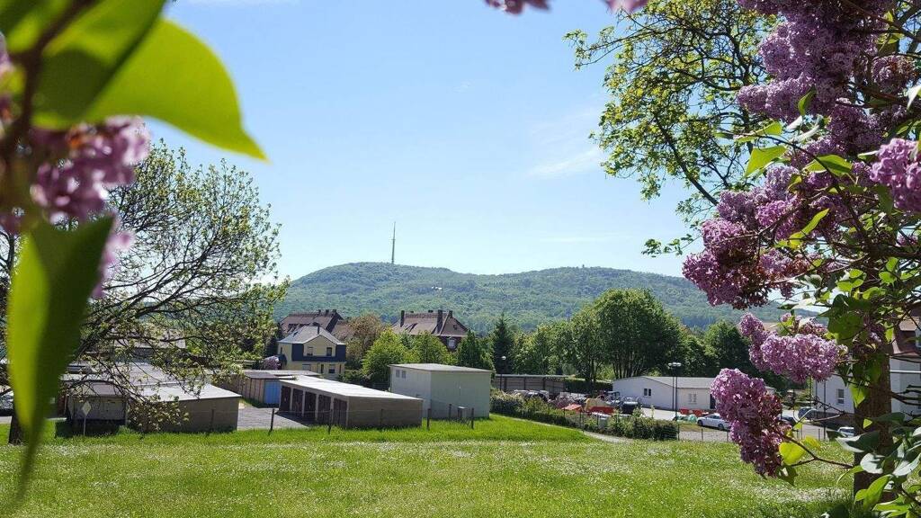 Wohnung zur Miete 324 € 3 Zimmer 60 m² 3. Geschoss Daimlerstraße 18 Löbau 02708