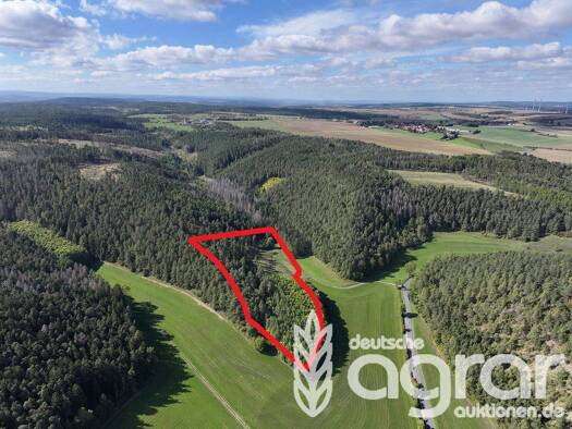 Land-/Forstwirtschaft zum Kauf 21.900 € 36.293 m² Grundstück Teichel Rudolstadt / Teichel 07407