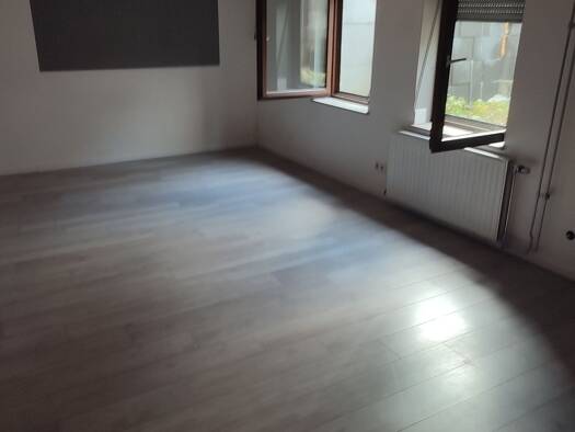 Wohnung zur Miete 600 € 1 Zimmer 48 m² Geschoss -1/2 frei ab 01.02.2026 Blumenstraße 3 Remmingsheim Neustetten 72149