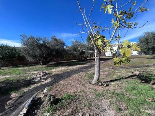 Villa zum Kauf 190.000 € 4 Zimmer 183 m² 1.000 m² Grundstück Villanueva de Algaidas 29311