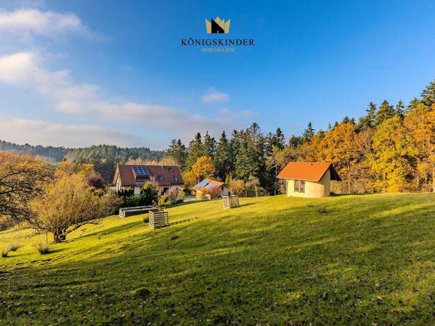 Mehrfamilienhaus zum Kauf 12 Zimmer 234 m² 42.381 m² Grundstück Brechtenhalden Gschwend 74417